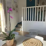Les Palmiers Houlgate