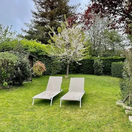 Les Palmiers Hébergement de vacances