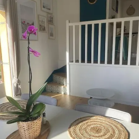 Les Palmiers Houlgate