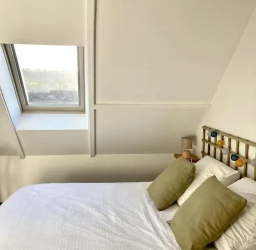 Les Palmiers Vakantiehuis *